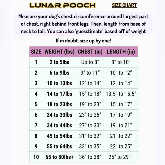 Lunar Pooch reflective dog hoodie - size 6 - iridescent reflective dog coat - Picture 8 of 14